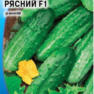 Огірок рясний