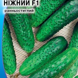 Ніжний огірок