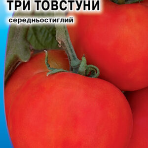 Томат Три товстуни
